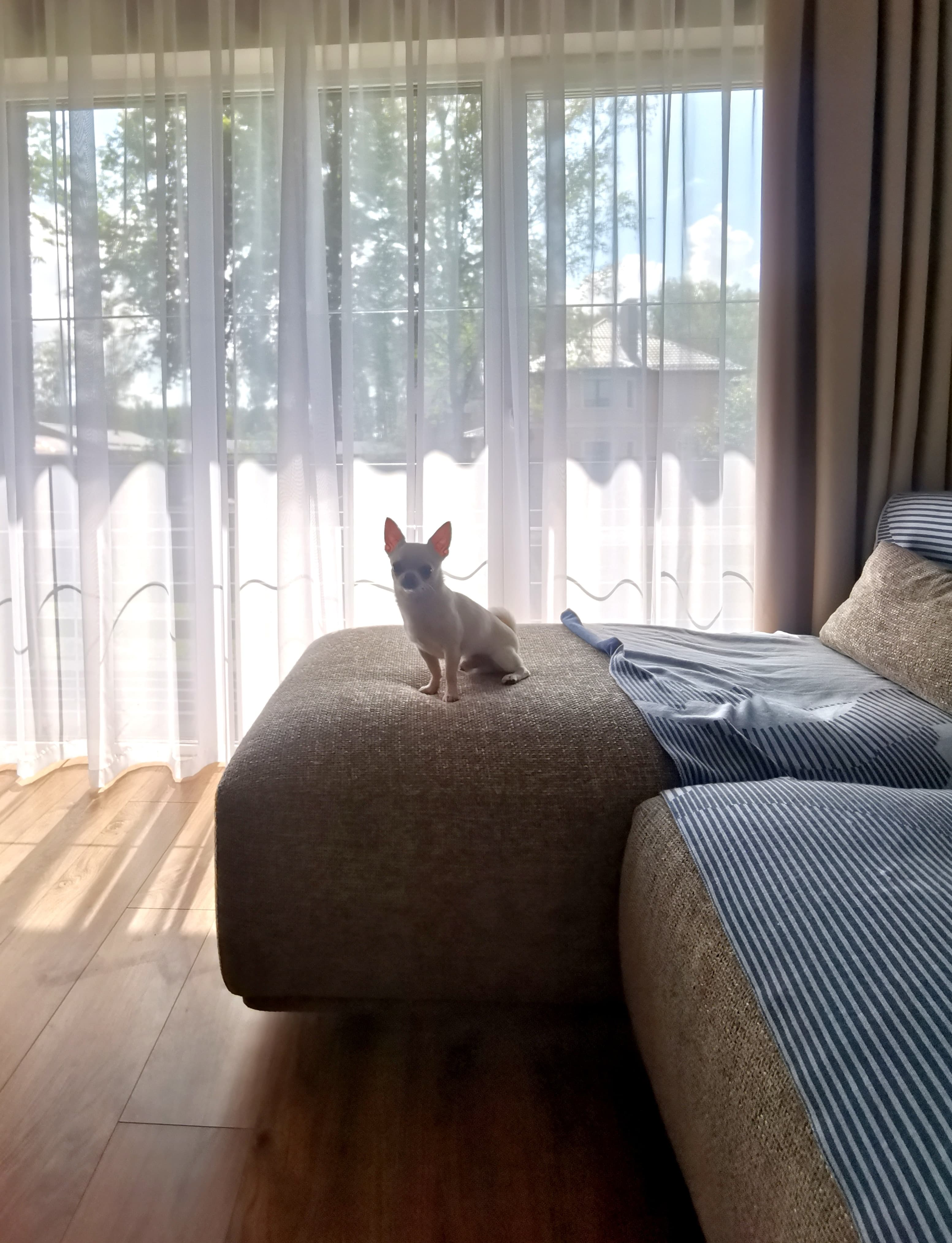 Природный минимализм - фото 5